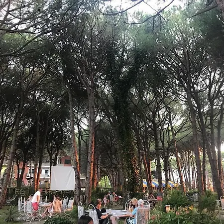 Pishat E Buta 28 Golem (Tirana)