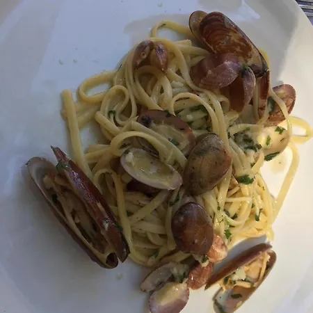 Pishat E Buta 28