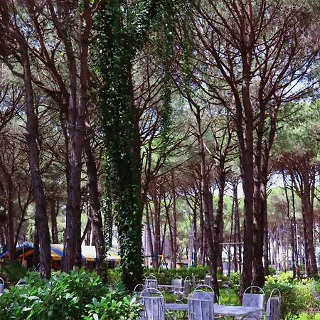 Holiday home Pishat E Buta 28