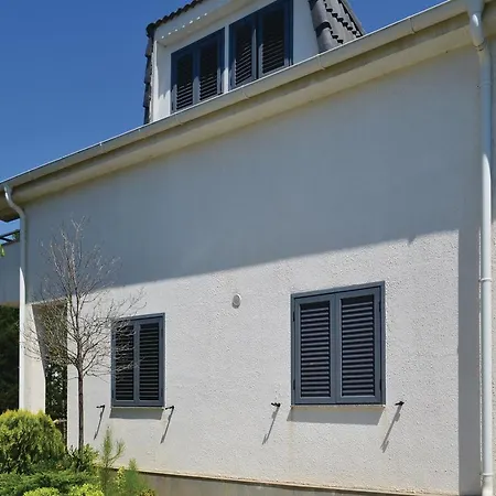 Pishat E Buta 28 גולם