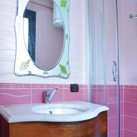 Hotel Hotel Pishat E Buta 3*