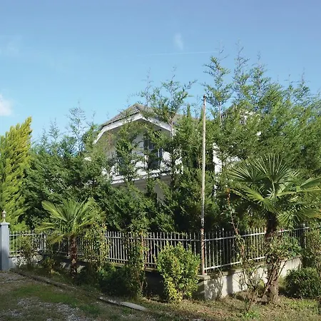 Pishat E Buta 28 גולם